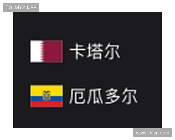 厄瓜多尔世界杯征程全面解析